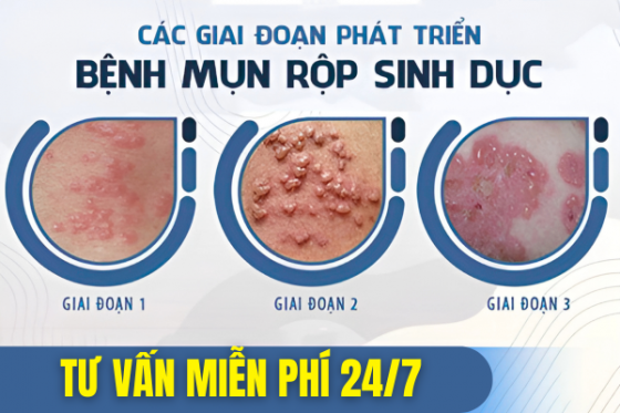 bxh (2).png