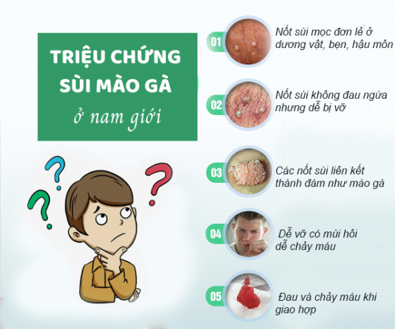 TRIỆU CHỨNG SÙI MÀO GÀ Ở NAM GIỚI.png