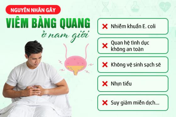 1780973772529208.jpg viem-bang-quang-nguyen-nhan.jpg